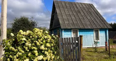 House in Baraulianski sielski Saviet, Belarus