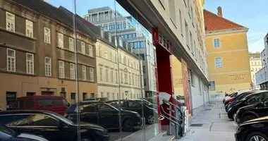 Коммерческое помещение 914 м² в Вена, Австрия