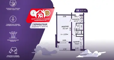 Appartement 1 chambre dans Minsk, Bélarus