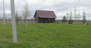 Grundstückin Bolshie Syaglicy, Russland