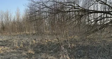 Grundstück in Vilnius, Litauen