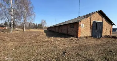 Warehouse 663 m² in Sluck, Belarus