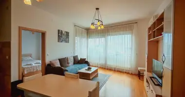 Apartamento 1 habitacion en Boreti, Montenegro