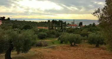 Terrain dans Municipality of Sithonia, Grèce