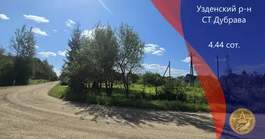 Plot of land in Dziescanski sielski Saviet, Belarus