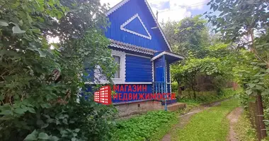 House in Hozski sielski Saviet, Belarus