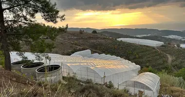 Terrain dans Hocalar, Turquie