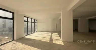 Коммерческое помещение 350 м² в Тирана, Албания