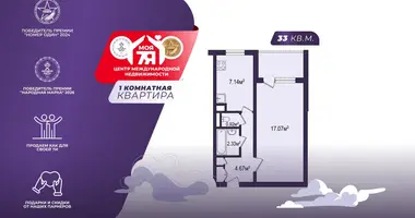 1 room apartment in Minsk, Belarus