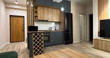 2 bedroom apartment in Tbilisi, Georgia