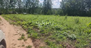 Grundstück in Bogorodsky District, Russland