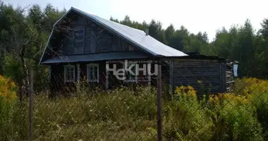 House in gorodskoj okrug Bor, Russia