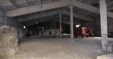 Warehouse for sale in Bulachauri, Georgia dans Bulachauri, Géorgie