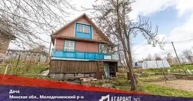 Haus in Krasnienski sielski Saviet, Belarus