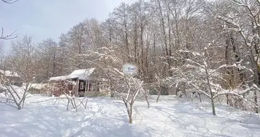 Terrain dans Kaliningrad, Russie