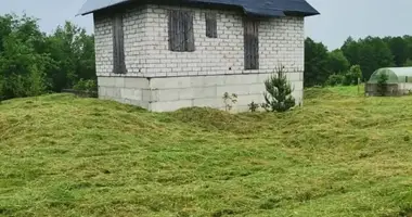 Dom w Visnieuski sielski Saviet, Białoruś