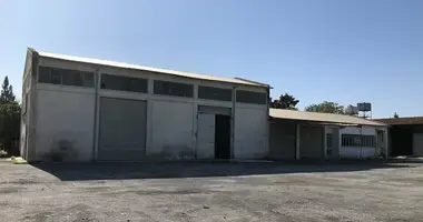 Entrepôt dans Nicosie, Chypre