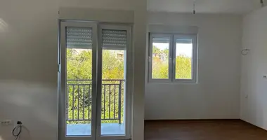 2 bedroom apartment in Podgorica, Montenegro