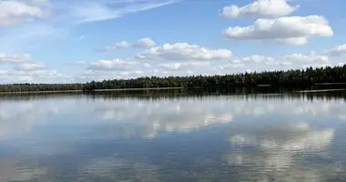 Gewerbefläche 1 522 m² in Valieuski sielski Saviet, Belarus