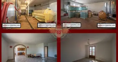 Propiedad comercial 682 m² en Grosseto, Italia