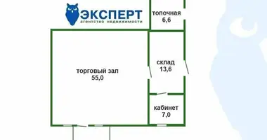 Shop in Ratomka, Belarus