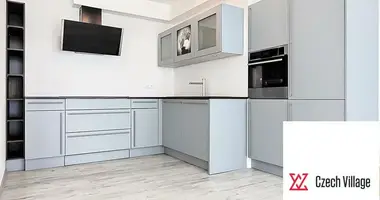 3 bedroom apartment in Capital City of Prague, Czech Republic