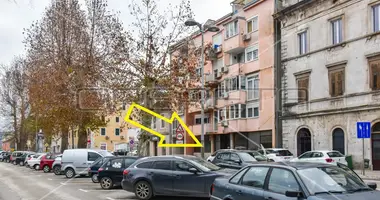 Propriété commerciale 130 m² dans Grad Metkovic, Croatie