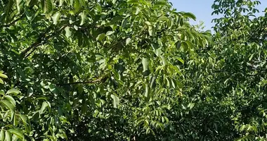 Участок земли в Aydinlar, Турция