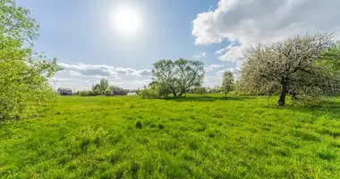 Apartment in Astrosycki sielski Saviet, Belarus