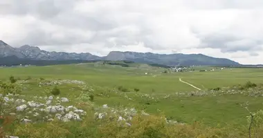 Terrain dans Zabljak, Monténégro