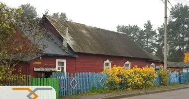 Haus in Minsk, Belarus