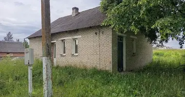 1 bedroom house in Navickavicy, Belarus