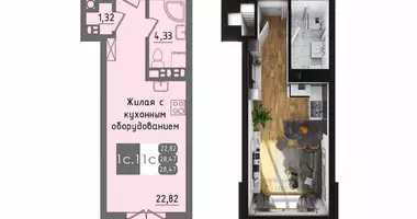1 room studio apartment in maculiscy, Belarus