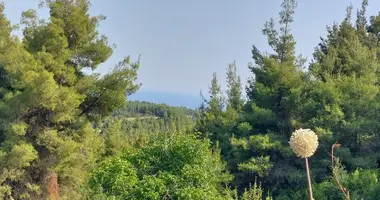 Участок земли в Ханиотис, Греция