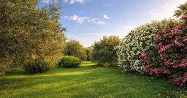 Terrain dans Kassandrino, Grèce