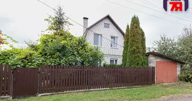 Cottage in Chervyen District, Belarus