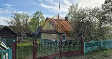 Haus in Vielikarycki sielski Saviet, Belarus
