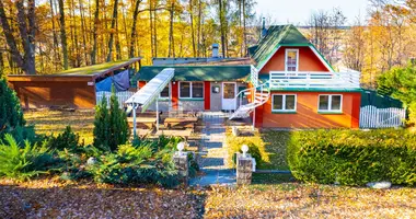 Commercial property 297 m² in Borsov nad Vltavou, Czech Republic