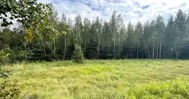 Участок земли в Дещенский сельский Совет, Беларусь