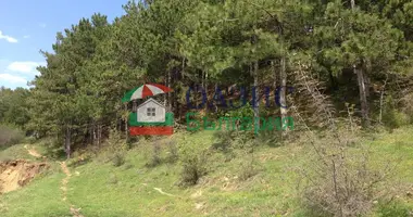 Коммерческое помещение 1 000 м² в Goritsa, Болгария