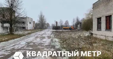 Propriété commerciale 77 m² dans Achmiany, Bélarus