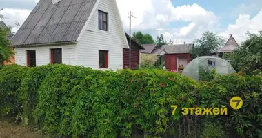 Haus in Nieharelski sielski Saviet, Belarus