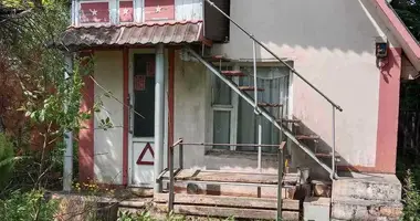  in Slabadski sielski Saviet, Belarus