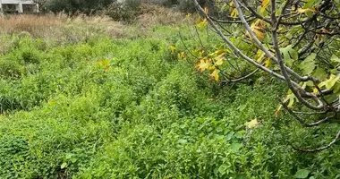 Plot of land in Municipality of Chania, Greece
