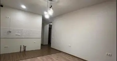 2 bedroom apartment in Tbilisi, Georgia