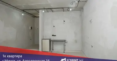 1 room apartment in Minsk, Belarus