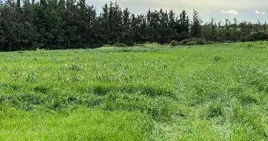 Квартира в Souskiou, Кипр