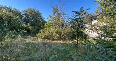 Terrain dans Tbilissi, Géorgie