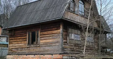 Terrain dans Aliachnovicki sielski Saviet, Bélarus