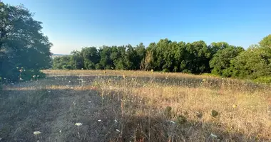 Terrain dans Kassandreia, Grèce